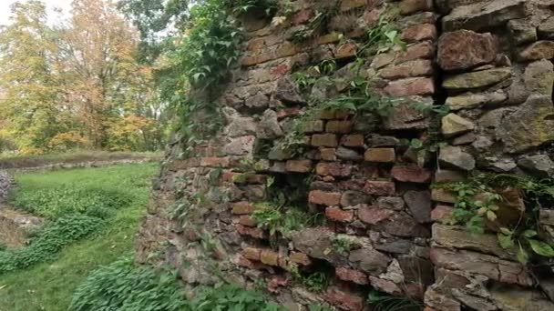 多瑙河上巴伐利亚一座城堡废墟的旧墙 — 图库视频影像