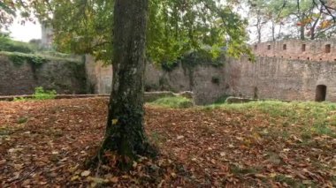 Parkta yaprak döken ağaçlar ve eski duvarlarla sonbahar izleri var.