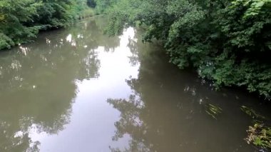 Bulanık suları ve kıyılarında bir sürü bitkileri olan bir nehir.