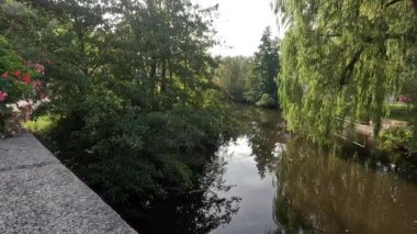 Bavyera 'daki cennet nehri boyunca sonbahar ağaçları