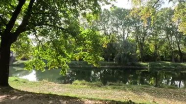 Tuna 'da Regensburg' da bir parkta sonbahar sakin