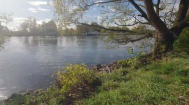 Sonbaharda güneşli havada Regensburg 'da Tuna Nehri kıyısında.