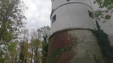 Sarmaşıklı ve sarmaşıklı eski binaların üzerinde