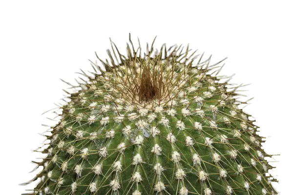 Tüm amaçlar için beyaz arkaplan dosyalarında izole,