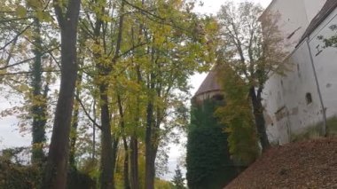 Bulutlu bir günde ağaçların üzerinde renkli yapraklarla parktaki güz.