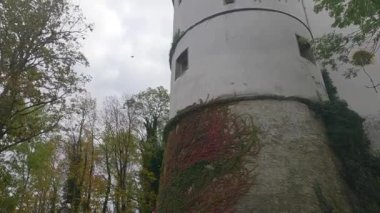 Sarmaşıklı ve sarmaşıklı eski binaların üzerinde