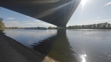 Durgun bir göl ve güneşli yeşil bitkilerle dolu bir sonbahar.