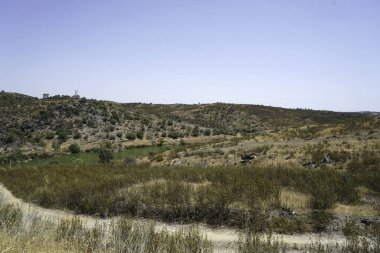 İspanya 'da yaz mevsimi yol boyunca birçok tarla, sığır ve domuzlar otlaklarda