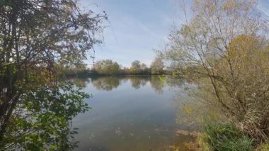 Gölde sonbahar havası var Yapraklarda ve güneşte parlak renkler