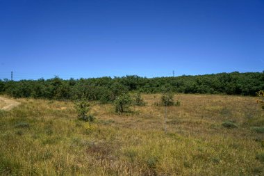 İspanya 'da sığır ve tarım için geniş otlaklar bulunan kuru bir arazi.