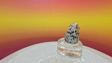 Leopar jasper taşları, bej-kahverengi arka planda siyah lekeli doğal taşlardır.