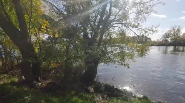 Sonbaharda güneşli havada Regensburg 'da Tuna Nehri kıyısında.