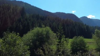 Avusturya 'daki dağlar bir dere boyunca ve yürüyüş yolu boyunca