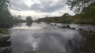 Durgun bir göl ve güneşli yeşil bitkilerle dolu bir sonbahar.