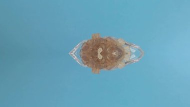 Aragonite stüdyodaki döner tablada çekti.,