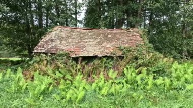 Derenin kenarındaki eski ahşap kulübe nemli zeminde bitkiler ve eğreltiotlarıyla kaplanmış eski kiremit çatılı ve çürümüş tahtalarla.