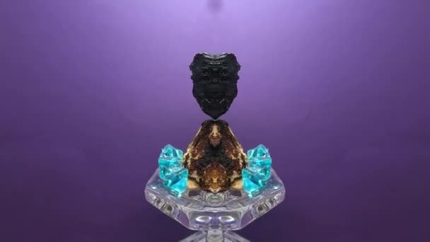 Драгоценный Камень Полудрагоценным Камнем Кварцем Кристаллами Зеркально Отражен Обработан Темно — стоковое видео