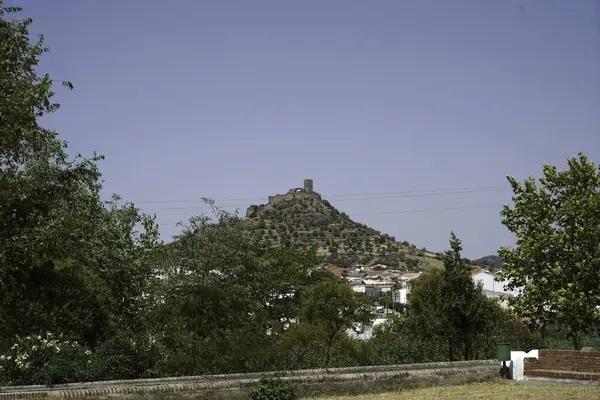 stock image Summer in Spain along the country road many fields and cattle and pigs in the pastures