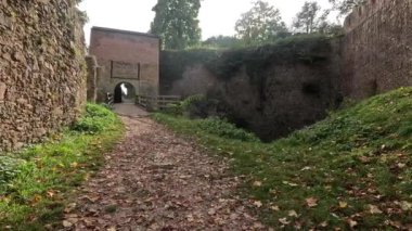 Parkta sonbahar Düşen yapraklar ve ağaçlarla