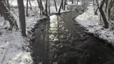 Bavyera 'daki dere kıyısında karla kaplı ağaçlarla