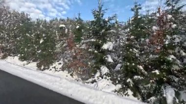 Karlı kış manzarası, kırsal yolda araba sürmek...