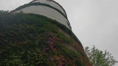 Sarmaşıklı ve sarmaşıklı eski binaların üzerinde