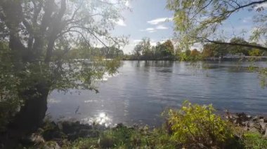 Durgun bir göl ve güneşli yeşil bitkilerle dolu bir sonbahar.