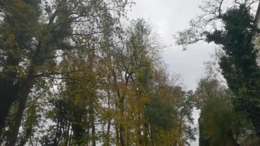 Bulutlu bir günde ağaçların üzerinde renkli yapraklarla parktaki güz.