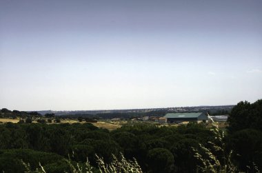 İspanya 'da yaz mevsimi yol boyunca birçok tarla, sığır ve domuzlar otlaklarda