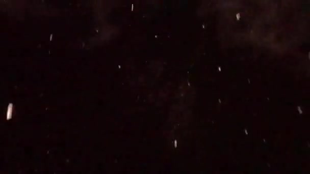 Schneefall Der Nacht Weiße Flocken Vor Dunklem Hintergrund — Stockvideo