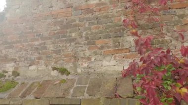 Sonbahar parkındaki eski duvarlar Bavyera 'da bulutlu bir günde