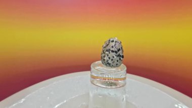 Leopar jasper taşları, bej-kahverengi arka planda siyah lekeli doğal taşlardır.