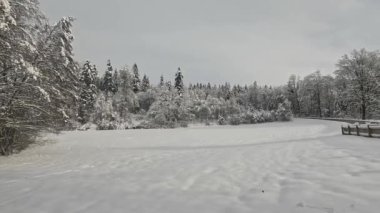 Ormandaki Bavyera 'da kış ve kar