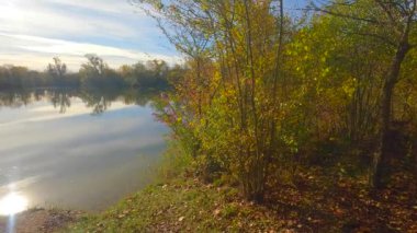 Gölde sonbahar havası var Yapraklarda ve güneşte parlak renkler