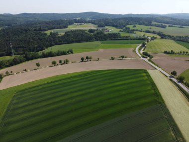 Ormandaki yolun havadan görünüşü. Drone fotoğrafçılığı