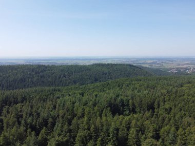 Tarlaları ve çayırları olan Bavyera ormanı, hava manzarası