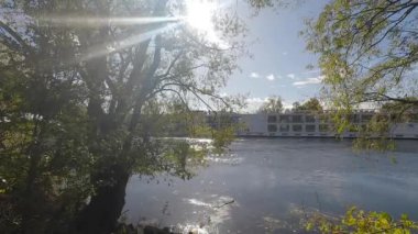 Durgun bir göl ve güneşli yeşil bitkilerle dolu bir sonbahar.