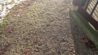 Damlayan su damlalarıyla eriyen kar
