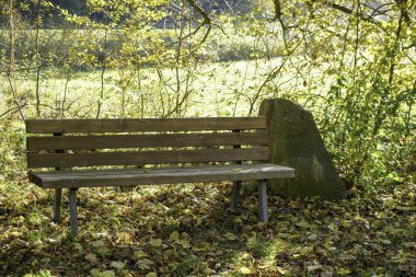 Yazın sonlarında Bavyera 'daki yağmur nehrinde sonbahar manzarası