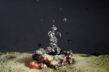 Stüdyoda, arka planda bir damla su çekilmiş.