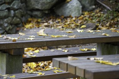 Masalardaki bank ve sandalyeler seni gevşemeye ve gevşemeye davet ediyor.