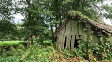 Bavyera 'da sonbaharda manzara