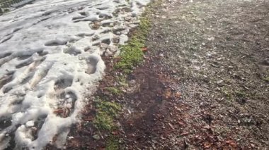 Damlayan su damlalarıyla eriyen kar
