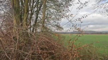 Bavyera 'da sonbaharda manzara