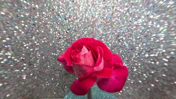 Rode Roos Detail Glazen Vaas Tegen Een Wazige Achtergrond — Stockvideo