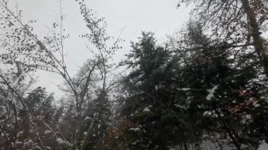  Burası kasvetli bir kış manzarası.