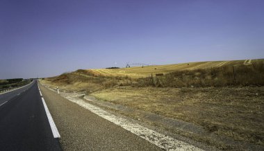 İspanya 'da yaz mevsimi yol boyunca birçok tarla, sığır ve domuzlar otlaklarda