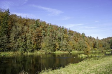 Sonbaharda Regenstauf yakınlarında Bavyera 'da nehir manzarası