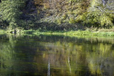 Yazın sonlarında Bavyera 'daki yağmur nehrinde sonbahar manzarası