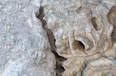 Ahşabı yapısal ve yapısal yapısal olarak yakmak.                               